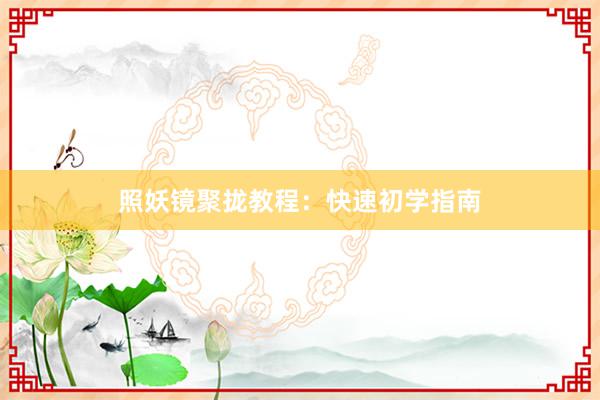 照妖镜聚拢教程：快速初学指南
